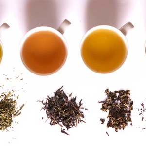 specialty herbal tea shop ohio